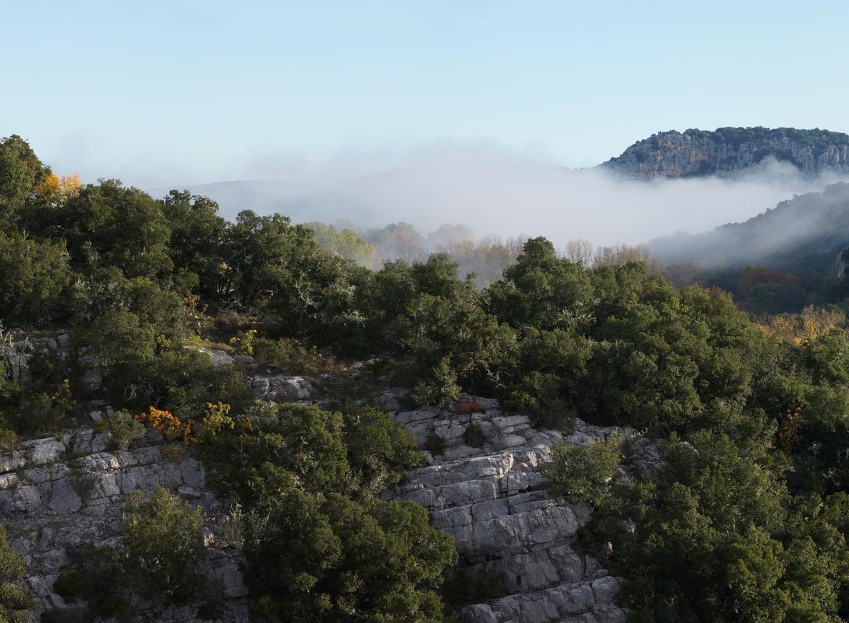 Les Hauts D'Issensac Causse-de-la-Selle Zewnętrze zdjęcie