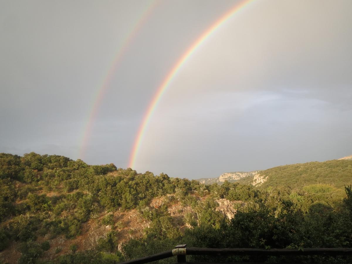 Les Hauts D'Issensac Causse-de-la-Selle Zewnętrze zdjęcie