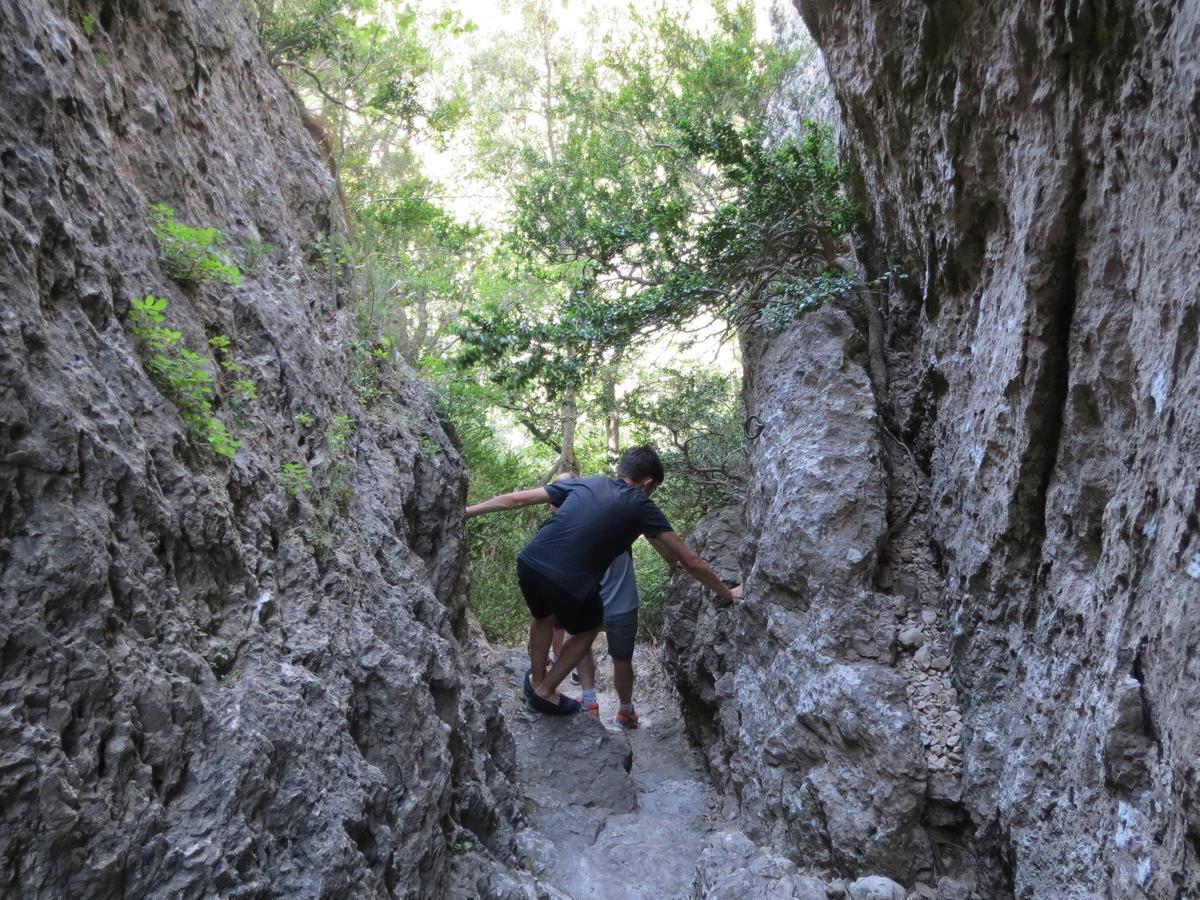 Les Hauts D'Issensac Causse-de-la-Selle Zewnętrze zdjęcie