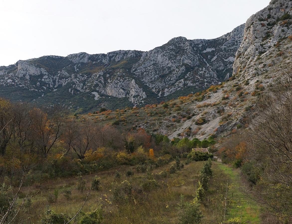 Les Hauts D'Issensac Causse-de-la-Selle Zewnętrze zdjęcie